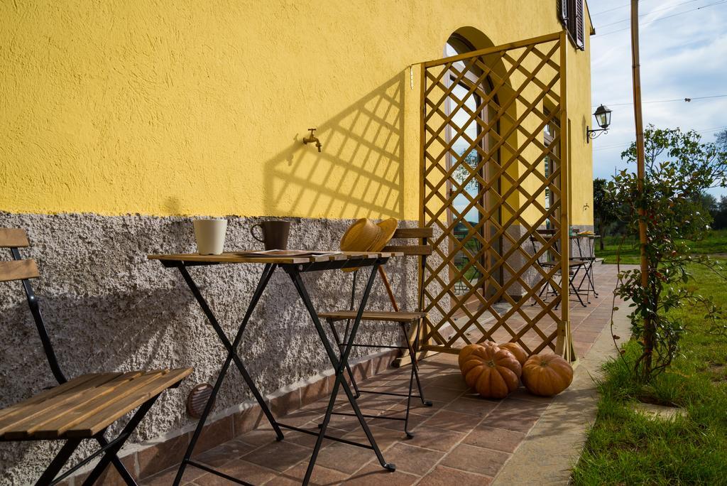 Agriturismo Sensi Tuscania Dış mekan fotoğraf